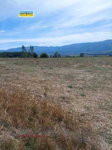 For sale - Agricultural land in Bratanica,  Pazardjik