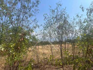 For sale - For Construction in Zlatitrap,  Plovdiv