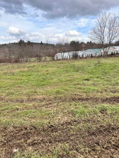 For sale - For Construction in Dobri Dyal,  Veliko Tyrnovo