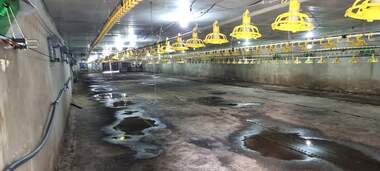 Vânzare - Spațiu industrial în Ușinți,  Razgrad