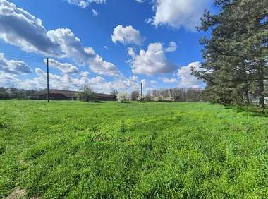 For sale - For Construction in Goliamo Vranovo,  Ruse