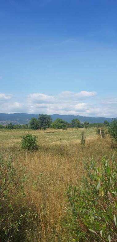 Verkauf - Baugrundstück in Saparewa Bania,  Küstendil