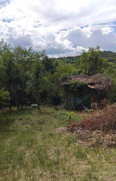 For sale - House in Eremia,  Kiustendil