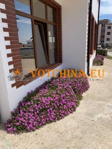 Vânzare - Apartament în Vinița,  Varna