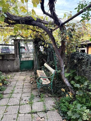 Vânzare - Casă în Samuil,  Vrața