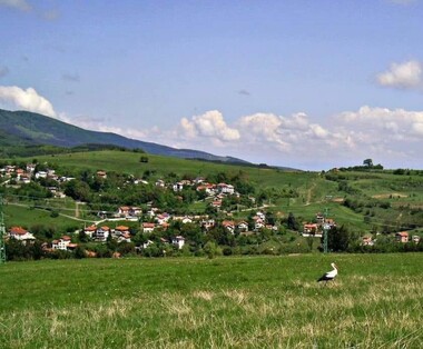 Emlak Jeleznica