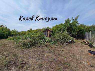 Vânzare - Plantații viticole în V.Z. Kenana,  Haskovo