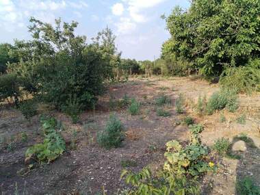 For sale - For Construction in Malina,  Dobrich