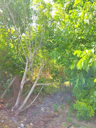 For sale - For Construction in Paskalevo,  Dobrich
