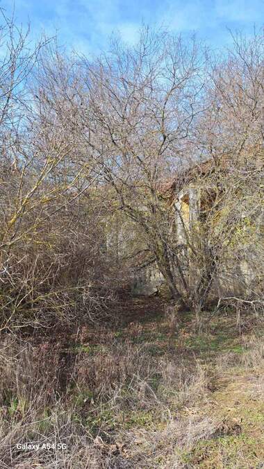 Vânzare - Casă în Neîkovo,  Dobrice