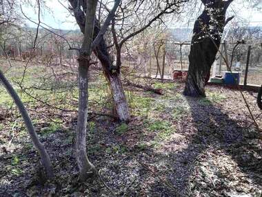 Vânzare - Casă în Leventa,  Ruse