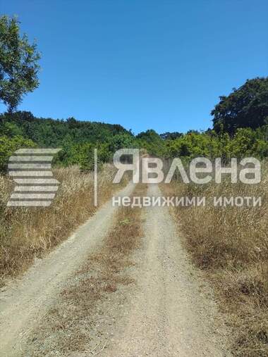 Verkauf - Landwirtschaftlich Grundstück in Rezowo,  Burgas