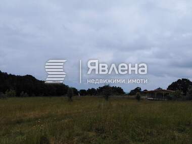 Verkauf - Landwirtschaftlich Grundstück in Warwara,  Burgas