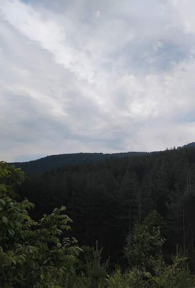 Verkauf - Baugrundstück in Koluscha,  Küstendil