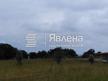 Verkauf - Landwirtschaftlich Grundstück in Warwara,  Burgas