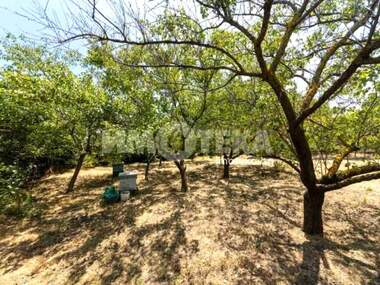 Satış - İnşaat arsası olarak Alen mak,  Varna