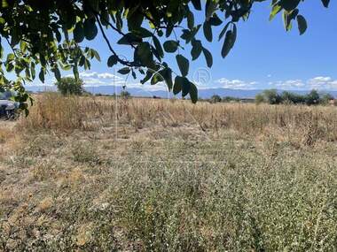 For sale - Agricultural land in Skutare,  Plovdiv