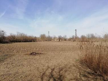 For sale - For Construction in Vedrina,  Dobrich