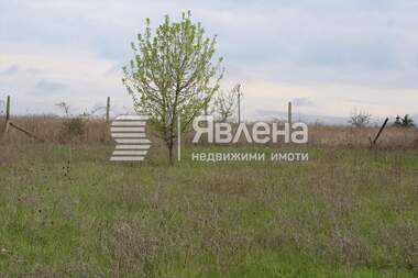 Verkauf - Landwirtschaftlich Grundstück in Lozenez,  Burgas