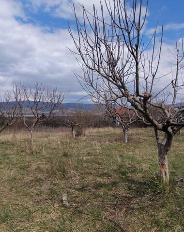For sale - For Construction in Sapareva Bania,  Kiustendil