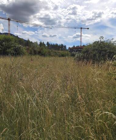 Verkauf - Baugrundstück in Saparewa Bania,  Küstendil