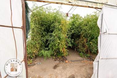 Vânzare - Teren agricol în Aîtos,  Burgas