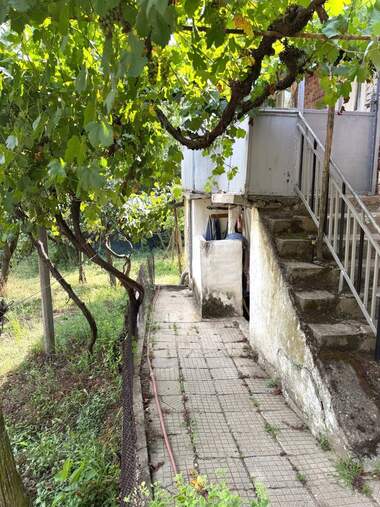 For sale - House in Brejani,  Blagoevgrad