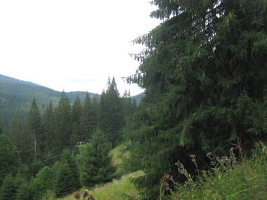 Vânzare - Teren agricol în Ceepelare,  Smolian