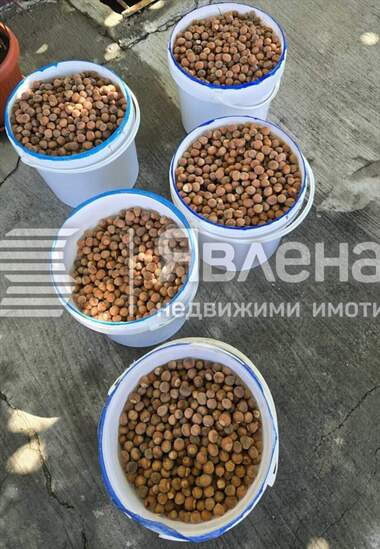 For sale - Agricultural land in Pomorie,  Burgas