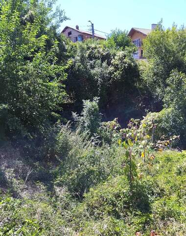 Verkauf - Baugrundstück in Zentar,  Küstendil