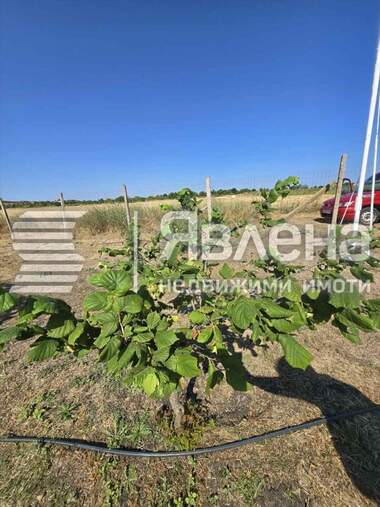 For sale - Agricultural land in Pomorie,  Burgas