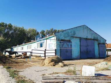For sale - Warehouse in Resen,  Veliko Tyrnovo