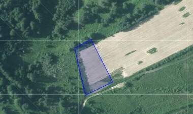 For sale - Meadow/pasture in Batak,  Pazardjik