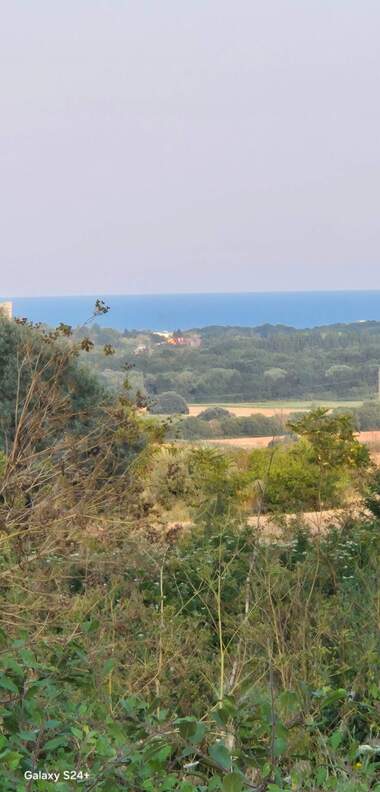 Πώληση - Οικόπεδο για κατασκευή σε Рогачево,  Добрич