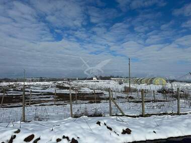 For sale - Agricultural land in Brezovo,  Plovdiv