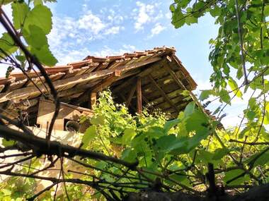 Verkauf - Haus in Usoyka,  Küstendil