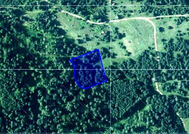 For sale - Meadow/pasture in Batak,  Pazardjik