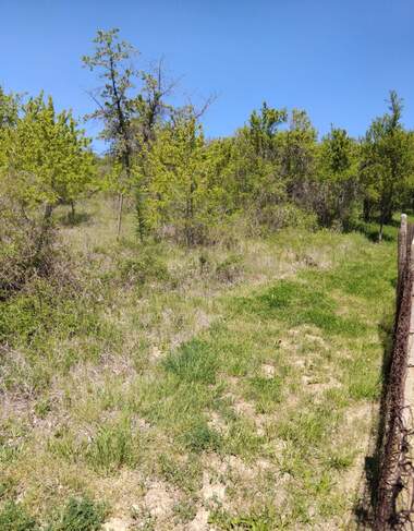 For sale - For Construction in Dupnica,  Kiustendil