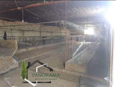 Vânzare - Teren agricol în Koceovo,  Șumen