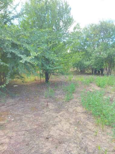 For sale - For Construction in Paskalevo,  Dobrich