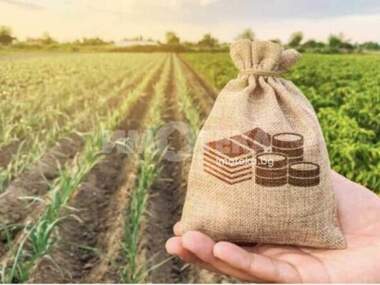 For sale - Agricultural land in Markovo,  Plovdiv