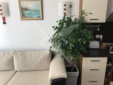 Miete - Wohnung in Manastirski liwadi-Zapad,  Sovia