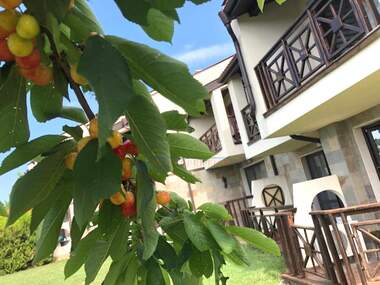 Vânzare - Apartament în Sunny Beach,  Burgas