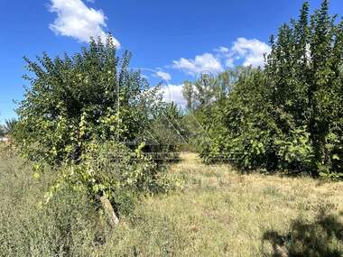 For sale - Agricultural land in Skutare,  Plovdiv