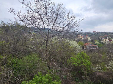 Satış - Apartman olarak Briz,  Varna
