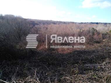 Verkauf - Landwirtschaftlich Grundstück in Balgari,  Burgas