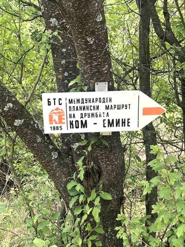 Продажба - Парцел за строителство във Върбица,  Шумен