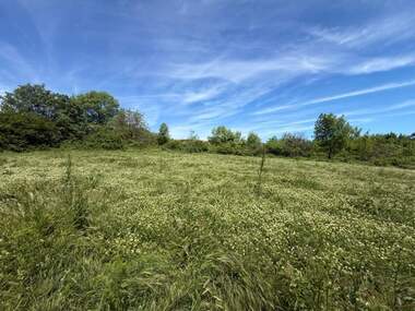 For sale - For Construction in Obzor,  Burgas
