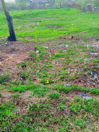 For sale - For Construction in Bezvoditsa,  Dobrich