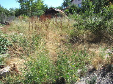 Verkauf - Baugrundstück in Bistriza,  Küstendil